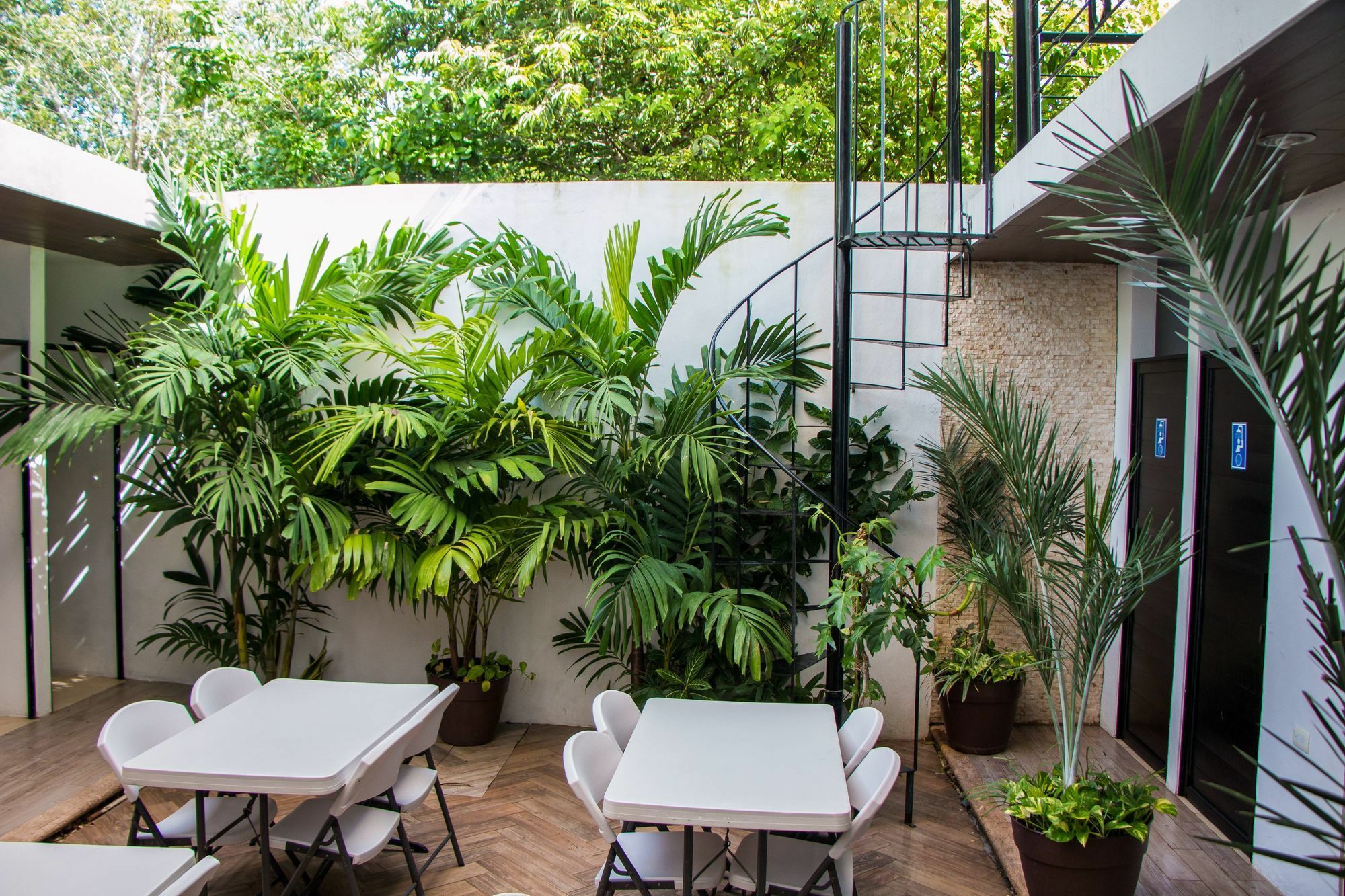 Hostal Gayser Valladolid  Exterior photo